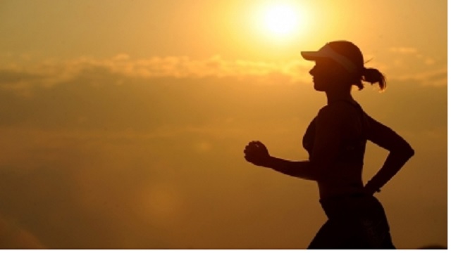 Understanding benefits of Shilajit for cardiovascular fitness