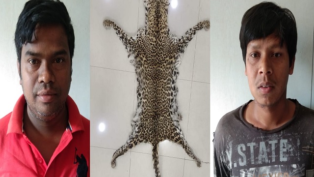 tiger skin seized in odisha