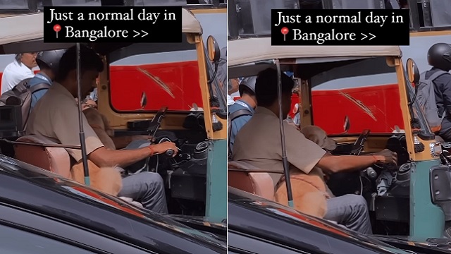 dog sits in auto driver's lap