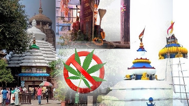 ganja banned in Shiva Peethas