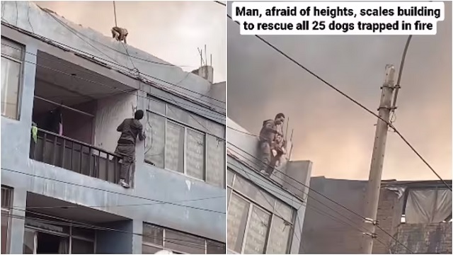 Man saves 25 dogs from a building on fire, gives hope to humanity