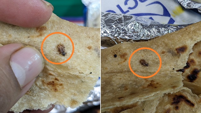 Cockroach in irctc meal