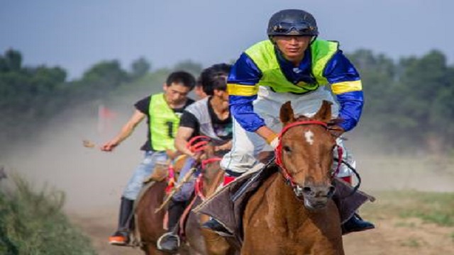 gst on horse riding