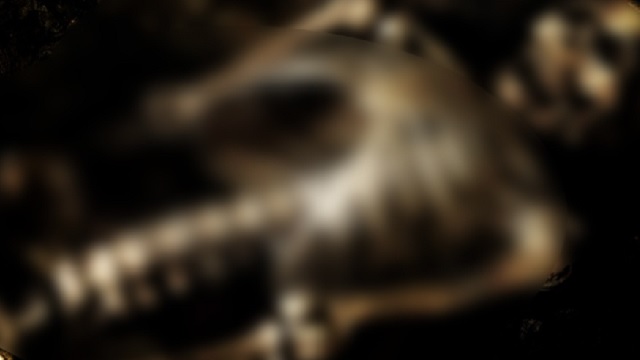 skeleton in bhadrak