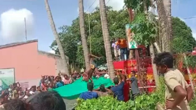 man stuck on coconut tree