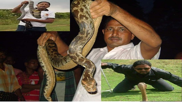 snake rescuer dies cuttack