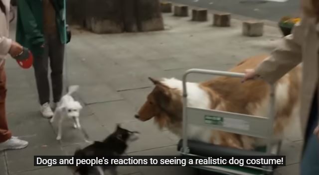 Realistic human dog costume