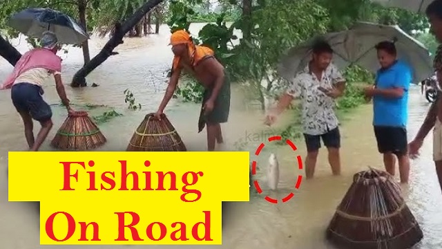 people catch fish on road in boudh