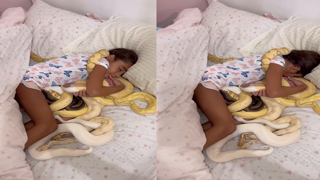 Little girl sleeps with snakes