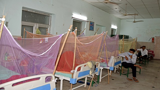 Dengue cases in Uttar Prdaesh