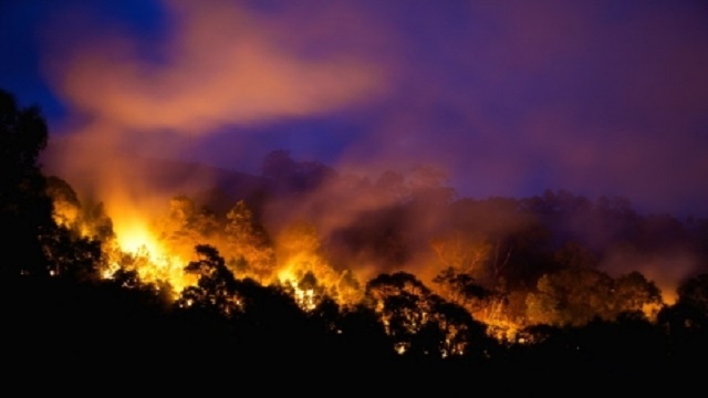 bushfire in Australia