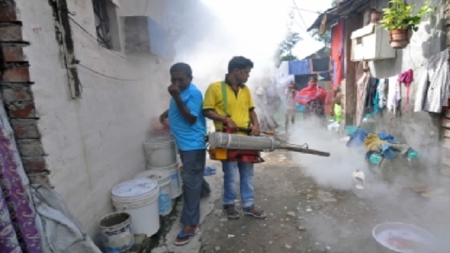 dengue in kolkata
