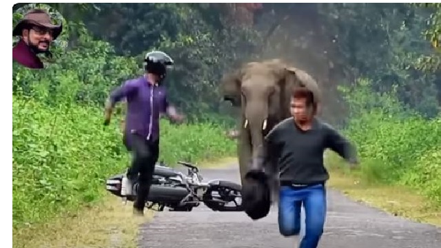 Elephant chasing bikers cyclist goes viral