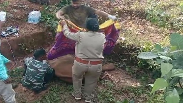 Ailing elephant dies in Odisha forest