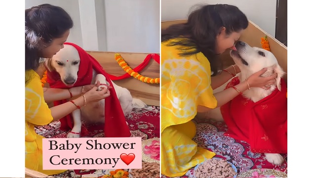 Woman hosts baby shower for pet dog