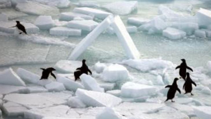 Antarctica's ice shelves reduced