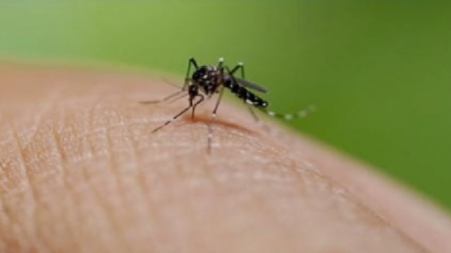 lucknow dengue death