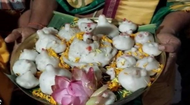 Gaja Bhoga offered at Dhabaleswar Temple