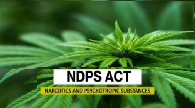 ndps act conviction