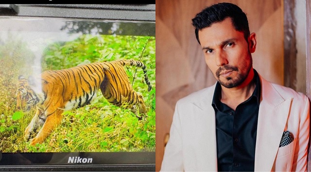 Randeep Hooda shares pic of tigress