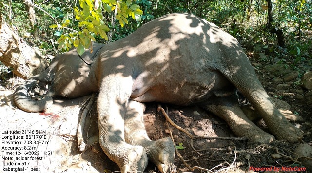elephant found dead inside Similipal