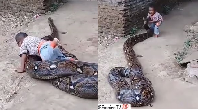 Kid playing with python