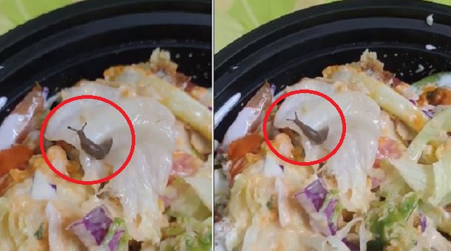 man found snail in salad