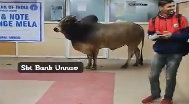 bull enters sbi office