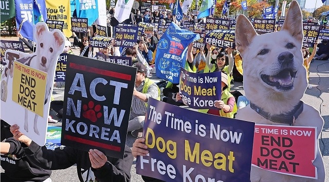 south korea bans dog meat