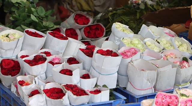 Nepal importing over 3 lakh roses from India