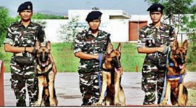 ssb appoints women handlers for dog squads