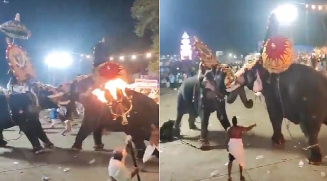 Elephant attacks another elephant in Kerala