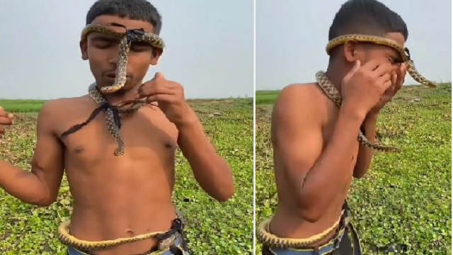 Snake stunt goes wrong