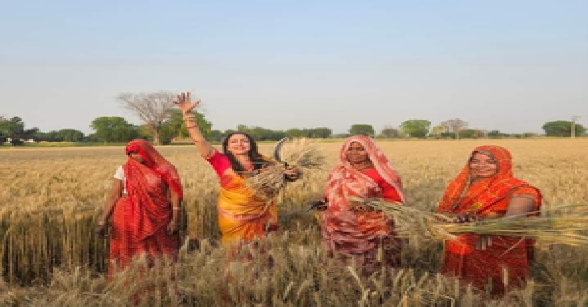 Hema Malini joins women harvesting wheat