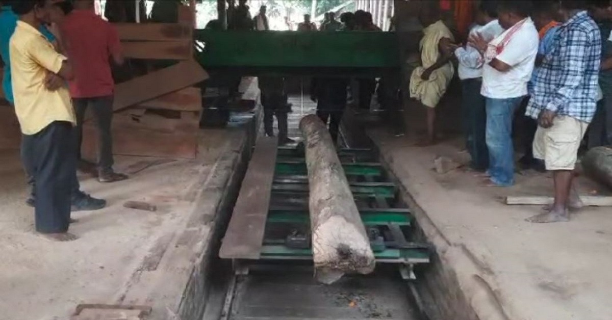 Sawing of logs for Rath Yatra begins