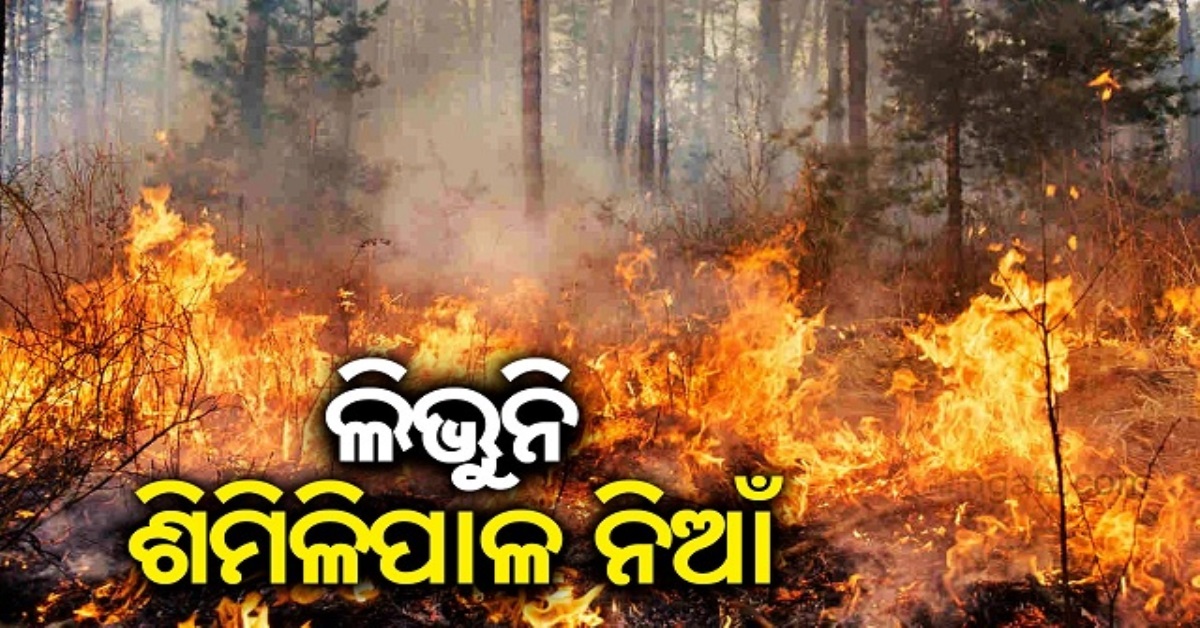 Forest fire In Similipal