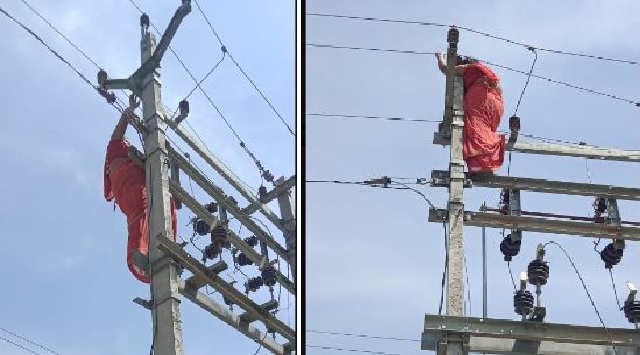 Woman climbs up electric pole