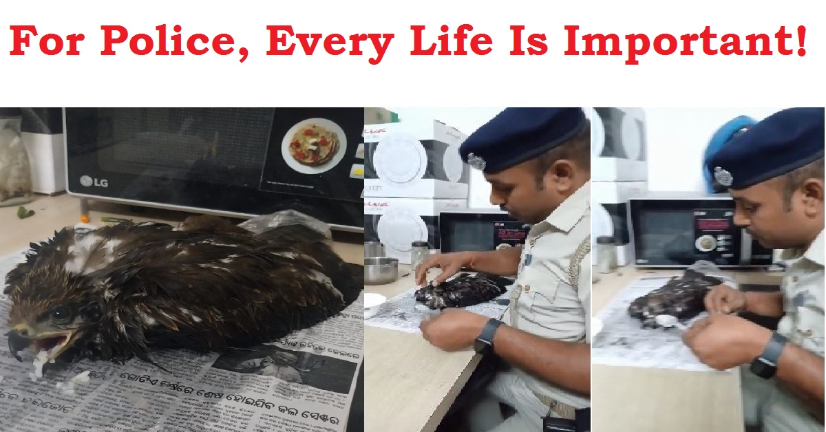 police provide water to eagle in Bhubaneswar