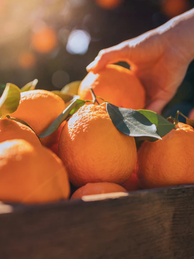 From Oranges to Broccoli: Vitamin C foods for better immunity