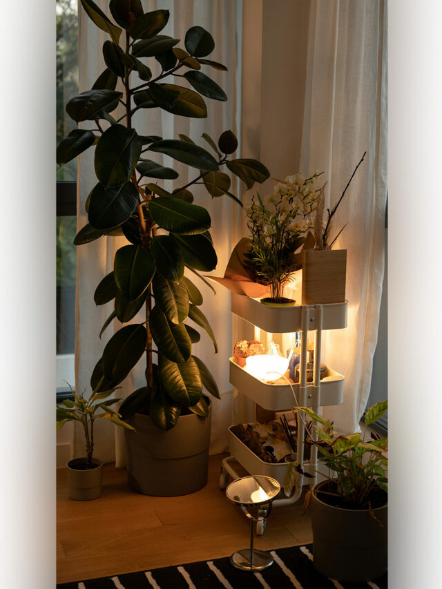 Affordable interiors: 5 creative ways to refresh your home on a budget