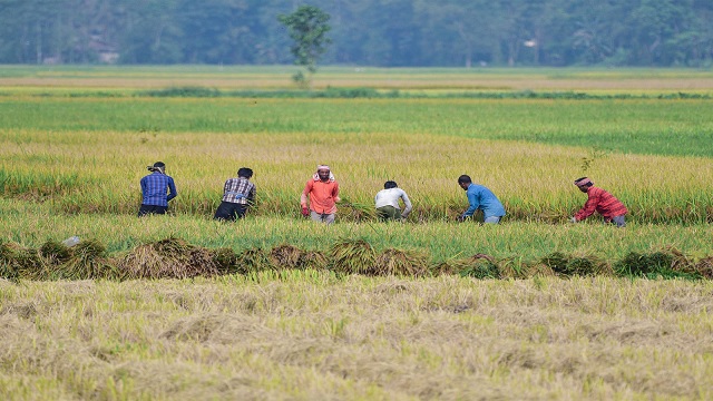 India's September Inflation Hits 5.5%, FY27 CPI Seen at 5–5.2%
